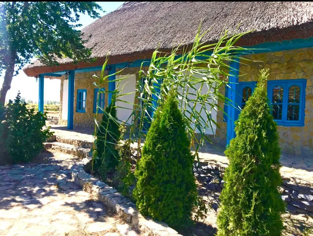 Traditional house with reed roof, green garden.