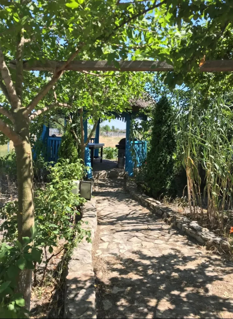 Paved pathway to blue gazebo in green garden.
