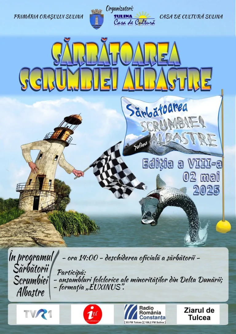 Blue Skrull Festival - po