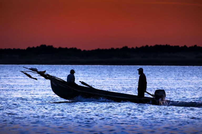 Pescari pe apă la apus de soare, siluete