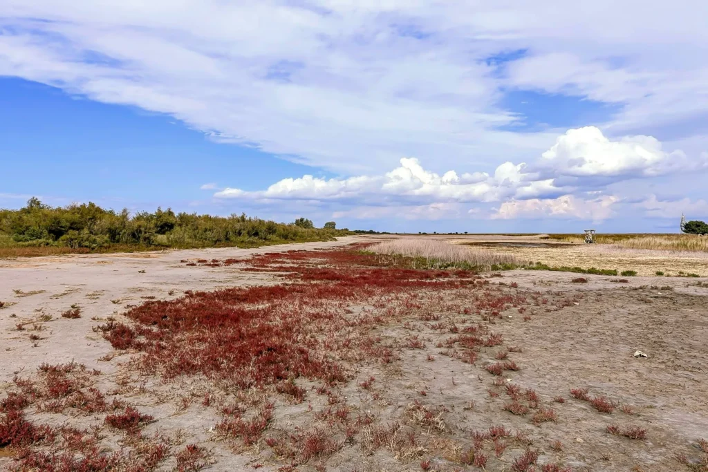 peritheasca leahova complex