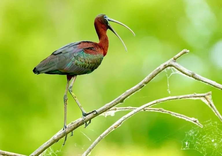 fb img 1687186583631