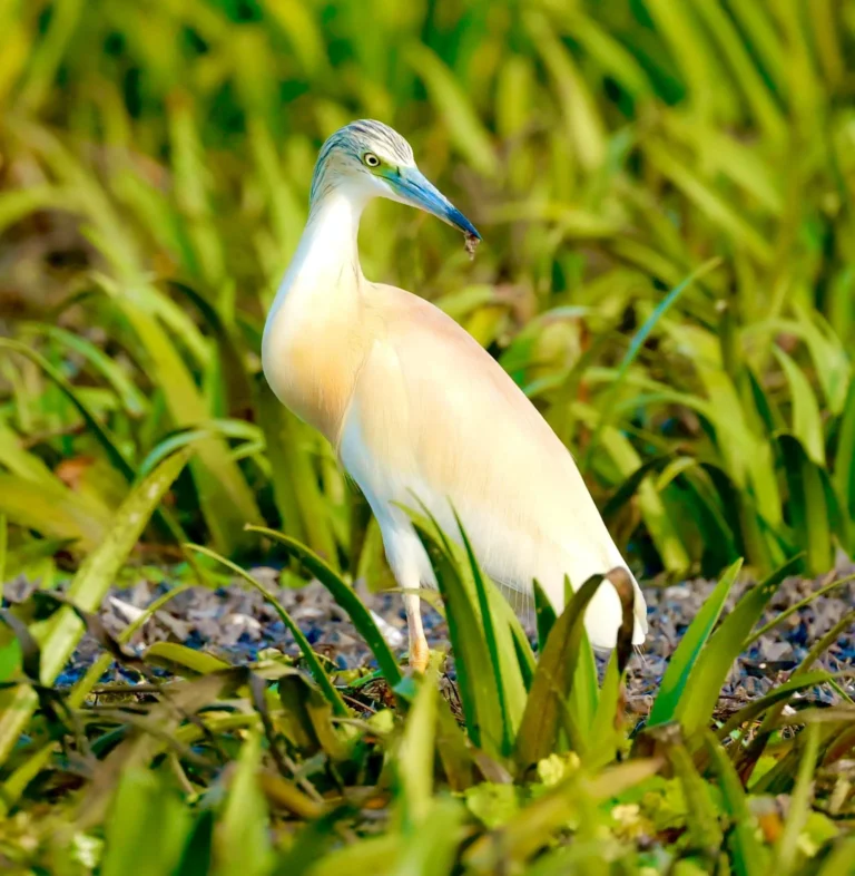 fb img 1687186595480