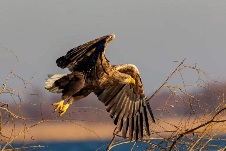 fb img 1703105432598