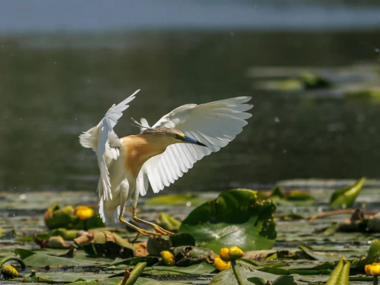 fb img 1750790303570