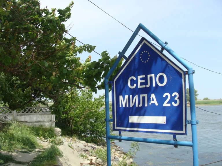 dsc00066 échelonné 1